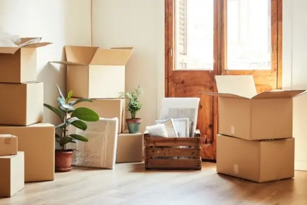 Removal company service